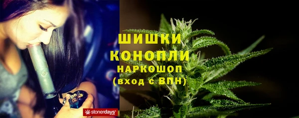 гидра Белокуриха