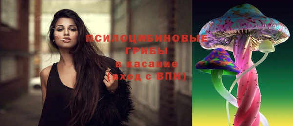 стаф Беломорск