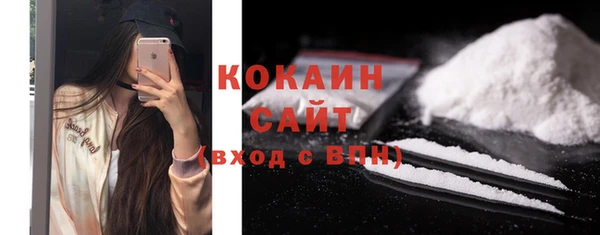 гидра Белокуриха