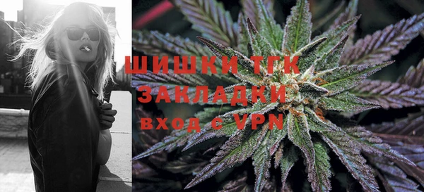 гидра Белокуриха
