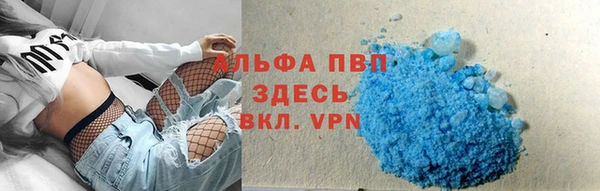 гидра Белокуриха