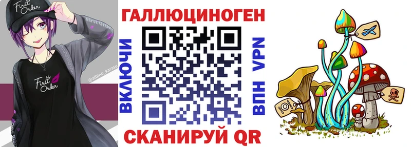 где найти   Купино  Псилоцибиновые грибы ЛСД 