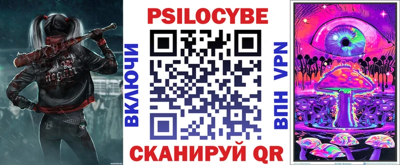 Галлюциногенные грибы Psilocybe Купино